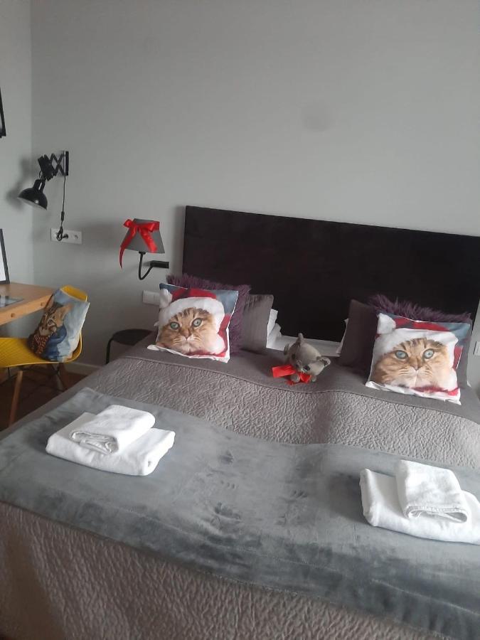 Apartamenty Koci Ogon Torun Exterior photo
